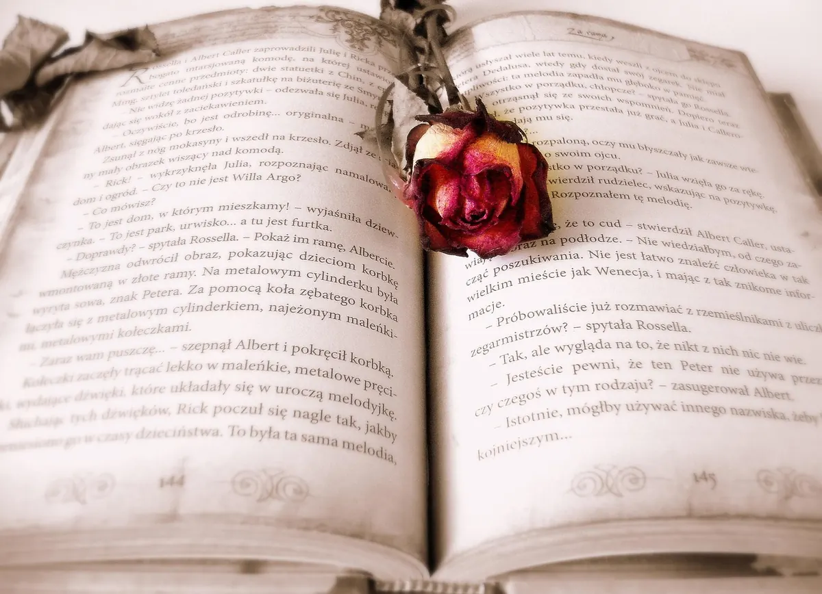 Book Club Notes: How to Prepare for a UK Reading Group Discussion